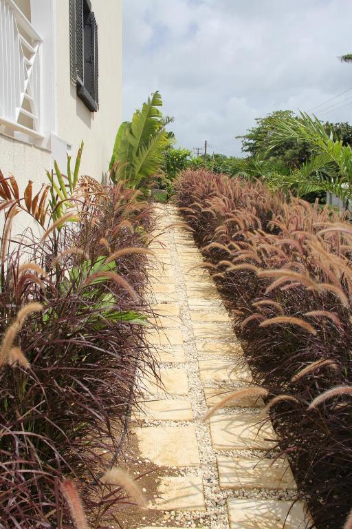 Lantana Resort Barbados By Island Villas Saint James Eksteriør billede